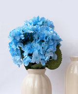 Nikko blue hydrangea - Zufolo Designs