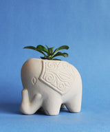 Debby Carrying A Planter - Zufolo Designs