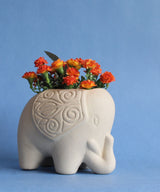 Debby Carrying A Planter - Zufolo Designs