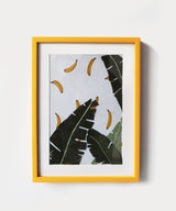 Go Banana’s Wall Art - Zufolo Designs