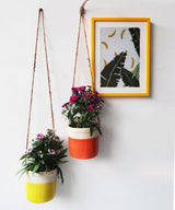 Go Banana’s Wall Art - Zufolo Designs