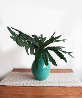 Two Faced Sand dunes Runner - Zufolo Designs