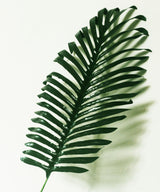 Palm Leaf Set Of Two Sticks - Zufolo Designs