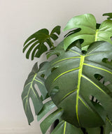 Philodendron Faux Plant - Zufolo Designs