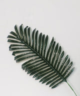 Palm Leaf Set Of Two Sticks - Zufolo Designs