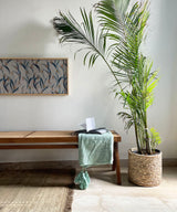 Teak Wood Rattan Bench - Zufolo Designs