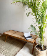 Teak Wood Rattan Bench - Zufolo Designs