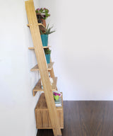Tapi Display/Book Shelf - Zufolo Designs