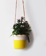 Lime Hanging Planter - Zufolo Designs