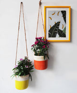 Lime Hanging Planter - Zufolo Designs
