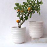 Ceramic Barrel Planter - Zufolo Designs
