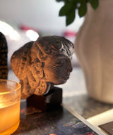 The Contemplative Muse