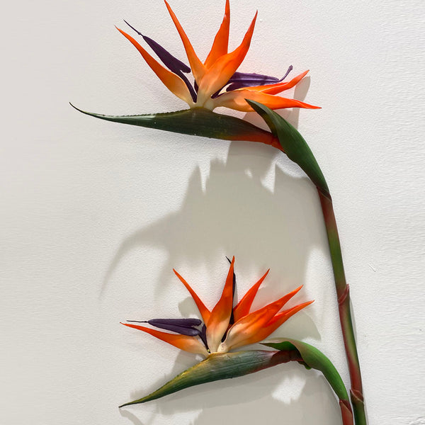【新品】Aloha Blossom Birds Of Paradise 42 155_00a97a4b-0973-4e32-bd74-