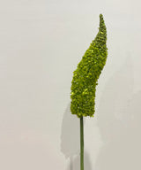 Moss Veronica Flower Stick