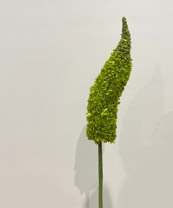 Moss Veronica Flower Stick