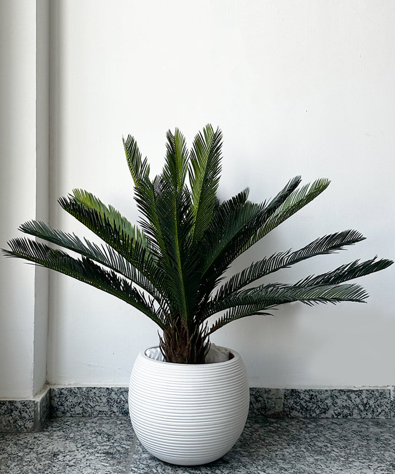 Sago palm Faux Plant