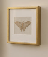 Quiet Wings Embroidered Butterfly Set Of Three