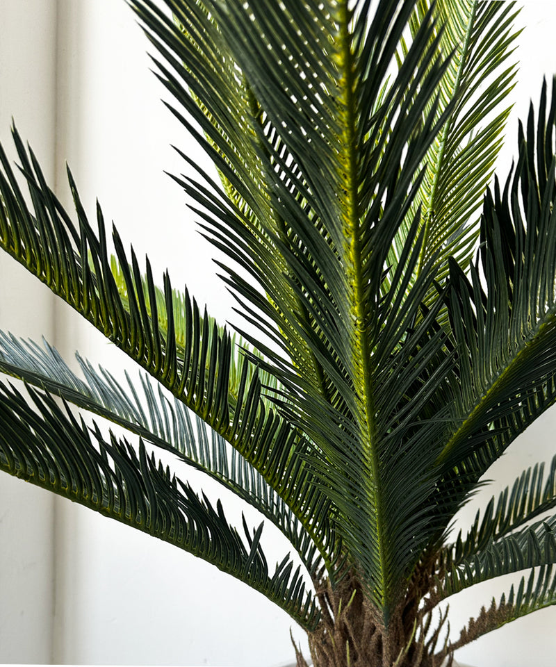 Sago palm Faux Plant