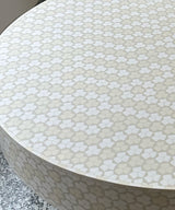 Ivory Mosaic Vegan Inlay Coffee Table