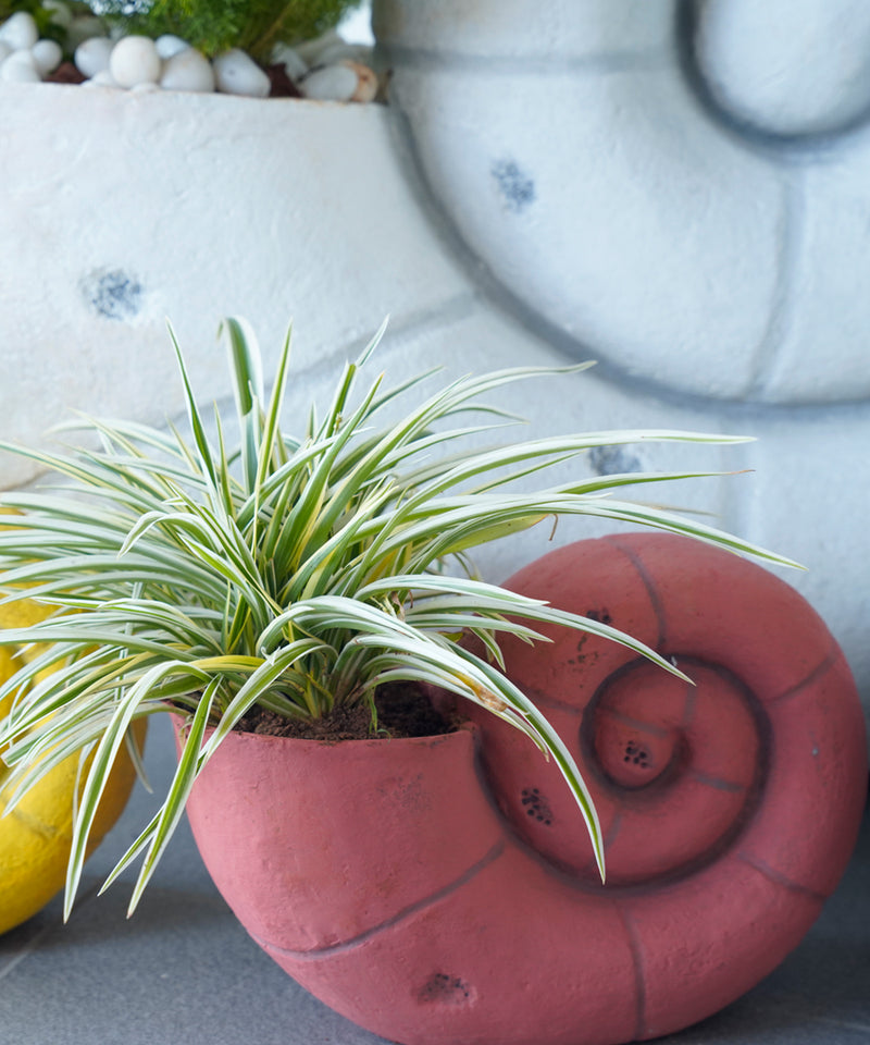 coil pot planter Orange Petite Coil Planter
