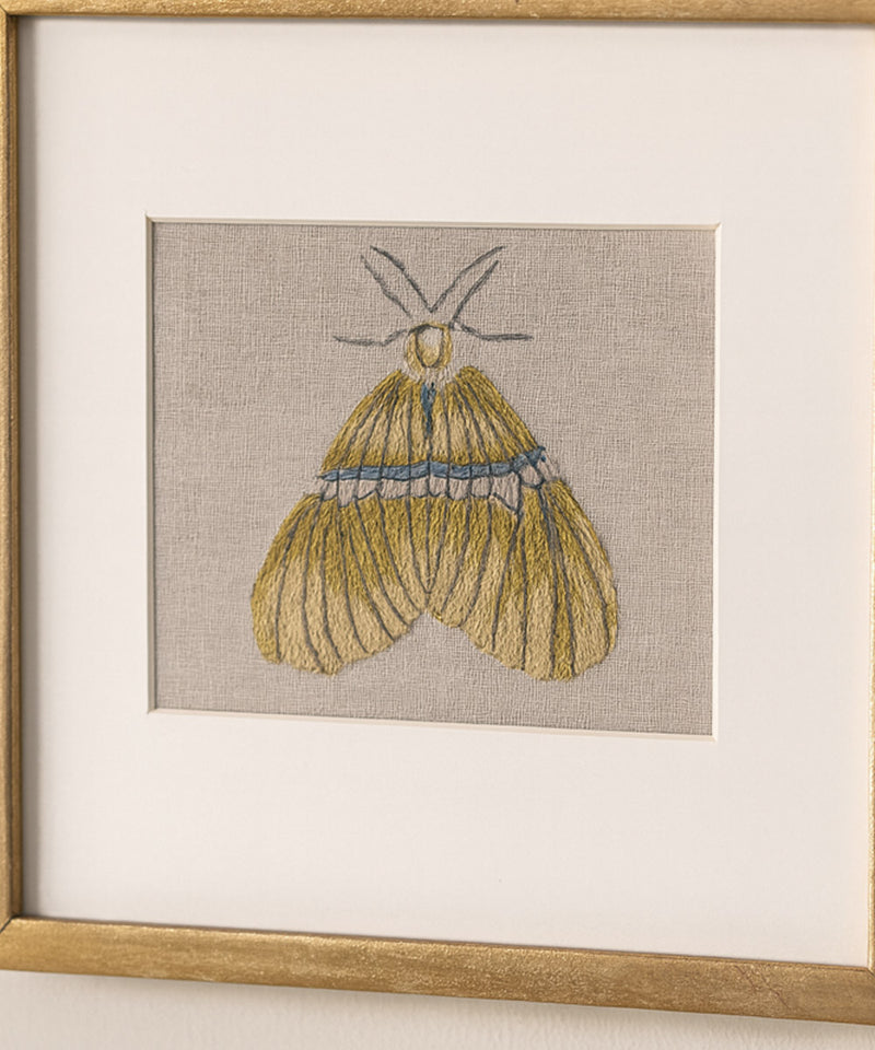 Dijon Butterfly Wall Art