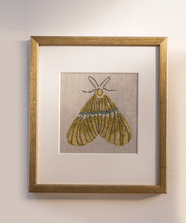 Dijon Butterfly Wall Art