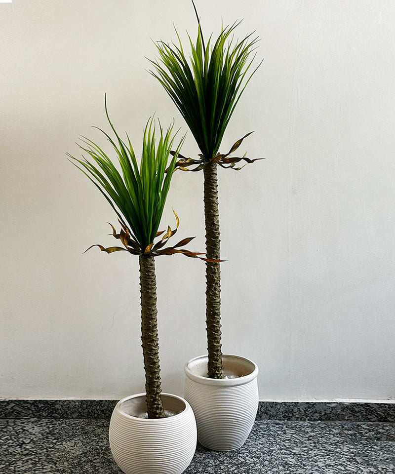 Tall Yucca Faux Plant Edition 1