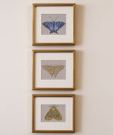 Lapis Butterfly Wall Art