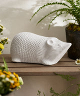 Ceramic Porcupine
