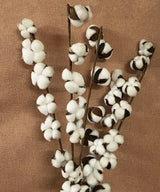 Cotton Bloom Faux  Stem