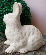 Ceramic Hopping Rabbit