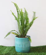 Gili Green Planter - Zufolo Designs