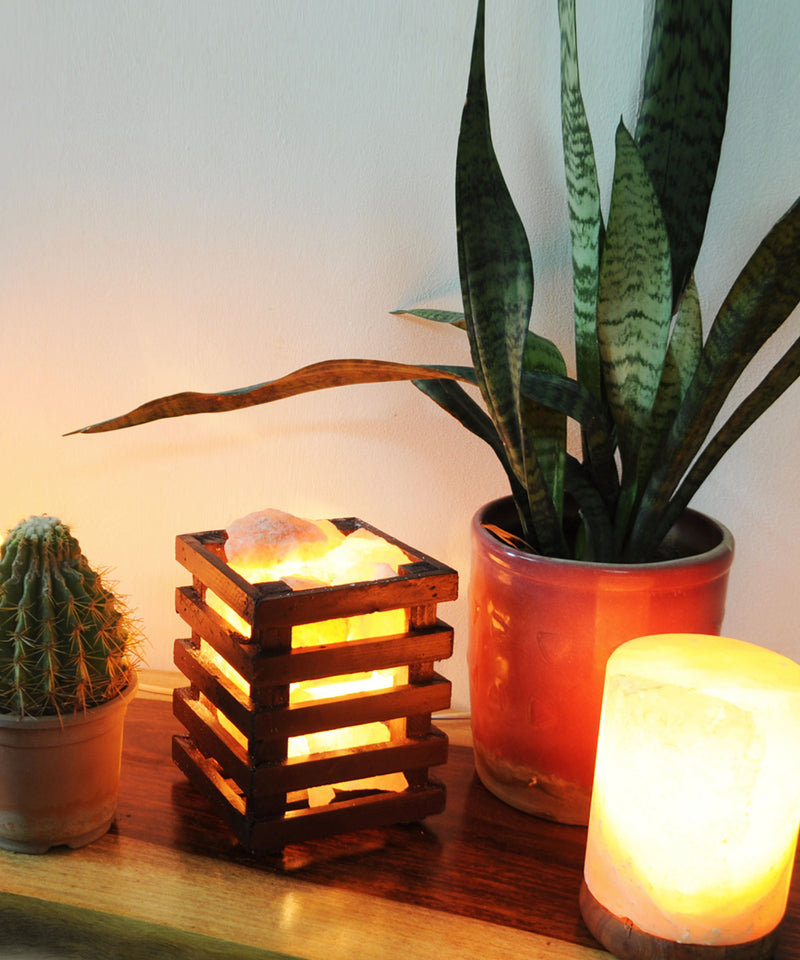 Sea Salt Wooden Lamp