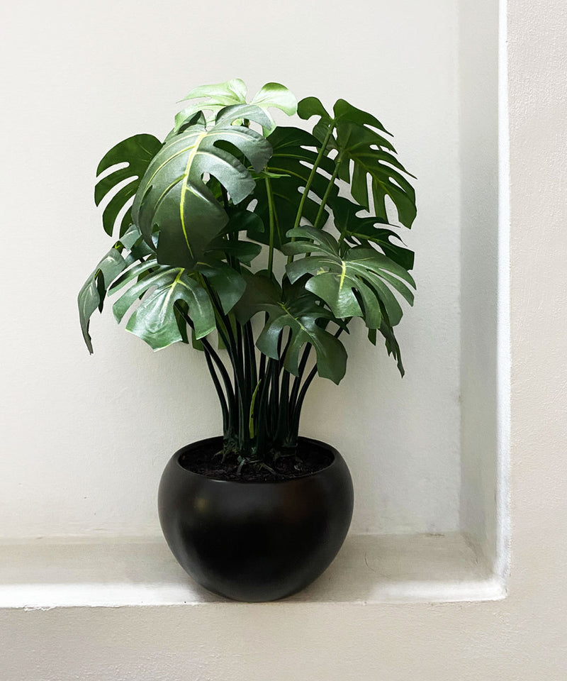 philodendron faux Philodendron Faux Plant