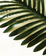 Palm Leaf Set Of Two Sticks