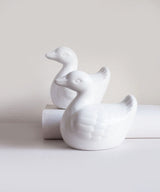 Pristine Swan